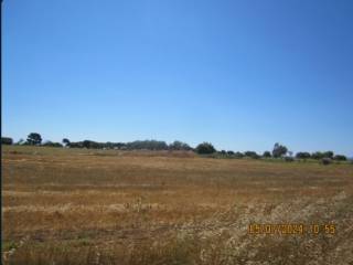 Terreno agricolo all'asta a crotone via dei delfini