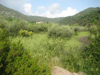 Terreno agricolo in vendita a giungano via santa croce s.n.c.