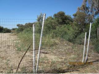 Terreno agricolo all'asta a crotone via dei delfini