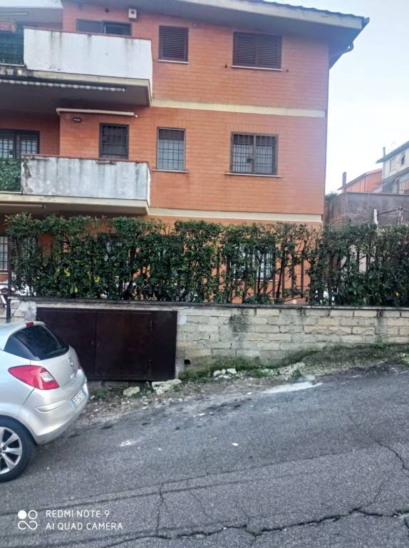 immagine annuncio 2 di 12