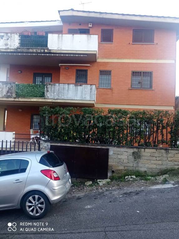 immagine annuncio 3 di 12