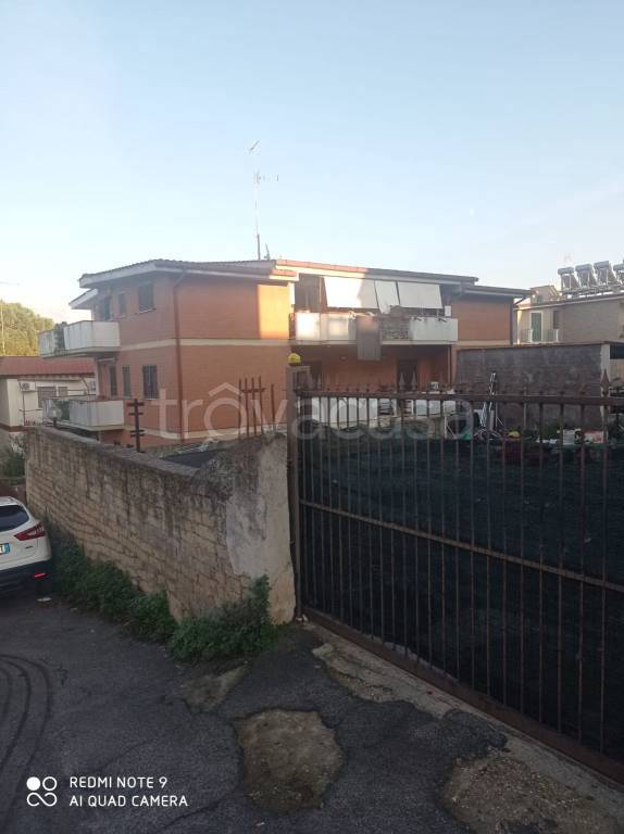 immagine annuncio 8 di 12