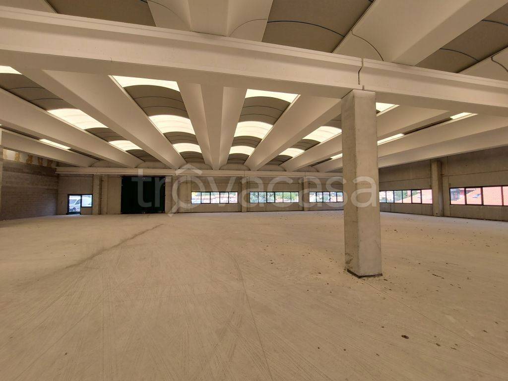 immagine annuncio 3 di 7