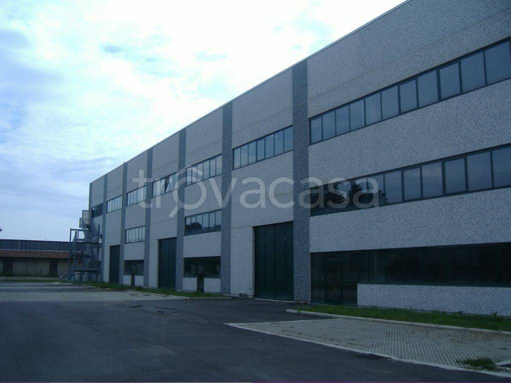 immagine annuncio 4 di 7