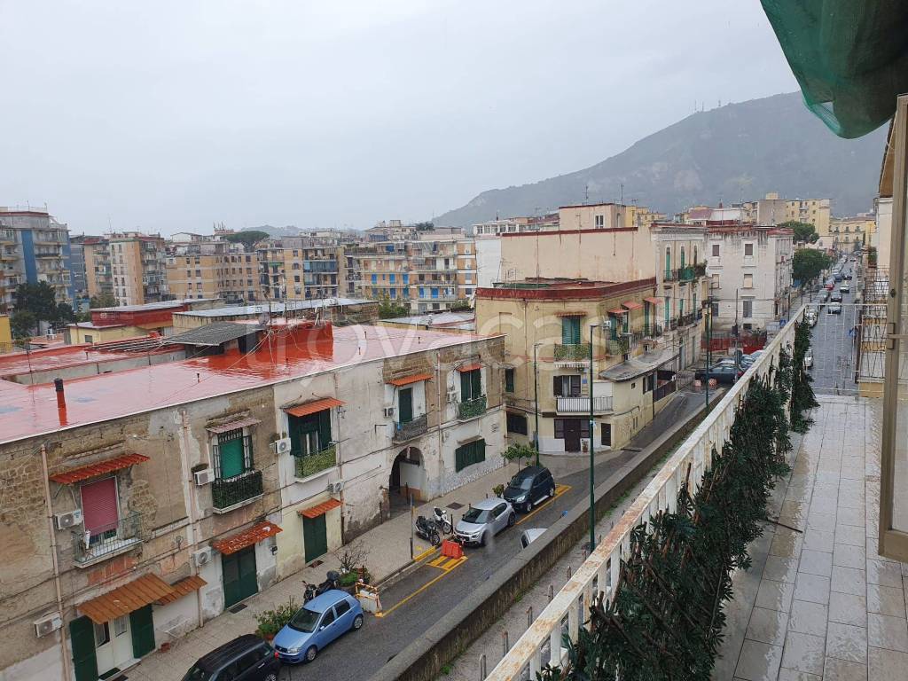 immagine annuncio 6 di 14