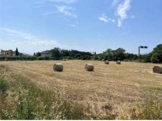 Terreno agricolo all'asta a perugia strada del colle