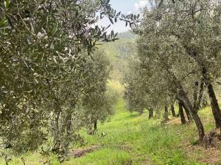 Terreno agricolo in vendita a montevarchi via di moncioni s.n.c.