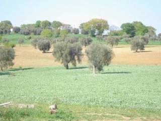 Terreno agricolo in vendita a montecassiano località valle cascia