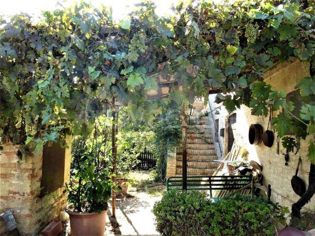 immagine annuncio 9 di 12