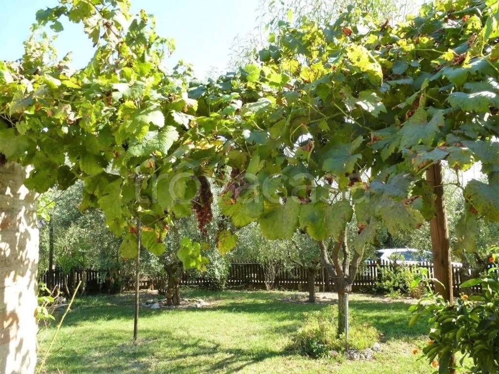 immagine annuncio 8 di 12