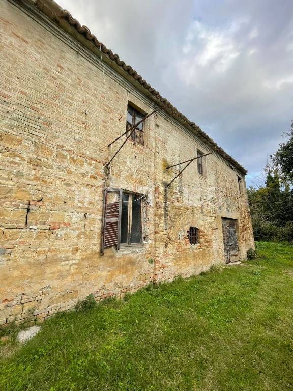 immagine annuncio 3 di 12