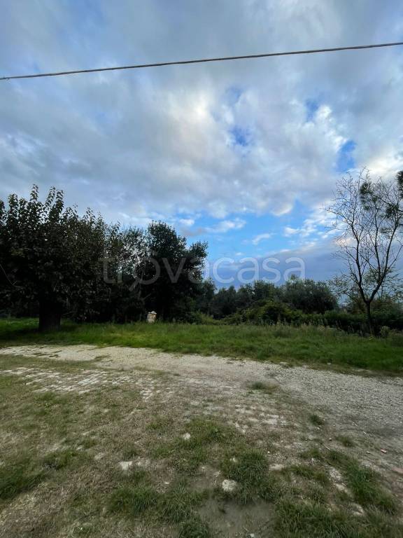 immagine annuncio 5 di 12