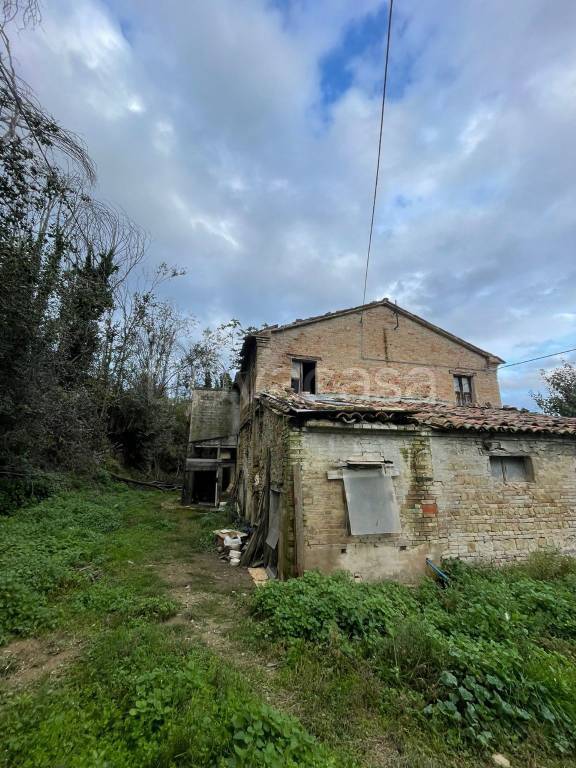 immagine annuncio 6 di 12