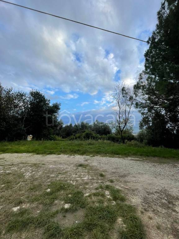 immagine annuncio 7 di 12