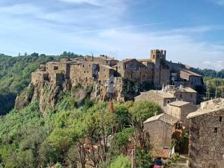 Appartamento in vendita a calcata via della pietá, 9