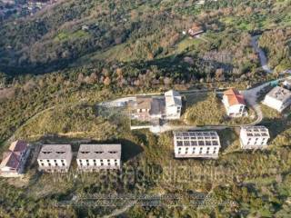 Terreno agricolo all'asta a castelnuovo cilento 84040 castelnuovo cilento sa, italia loc coste