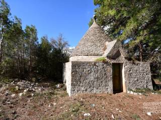 Casa indipendente in vendita a cisternino contrada barbagiulo