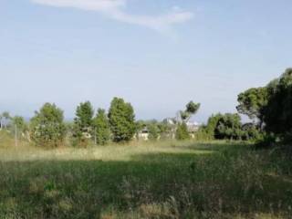 Terreno agricolo all'asta a porto sant'elpidio via garda