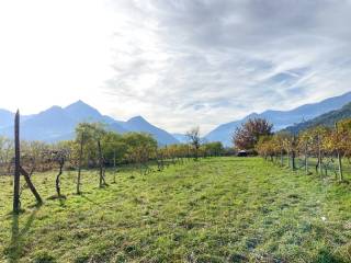 Terreno agricolo in vendita a telve 