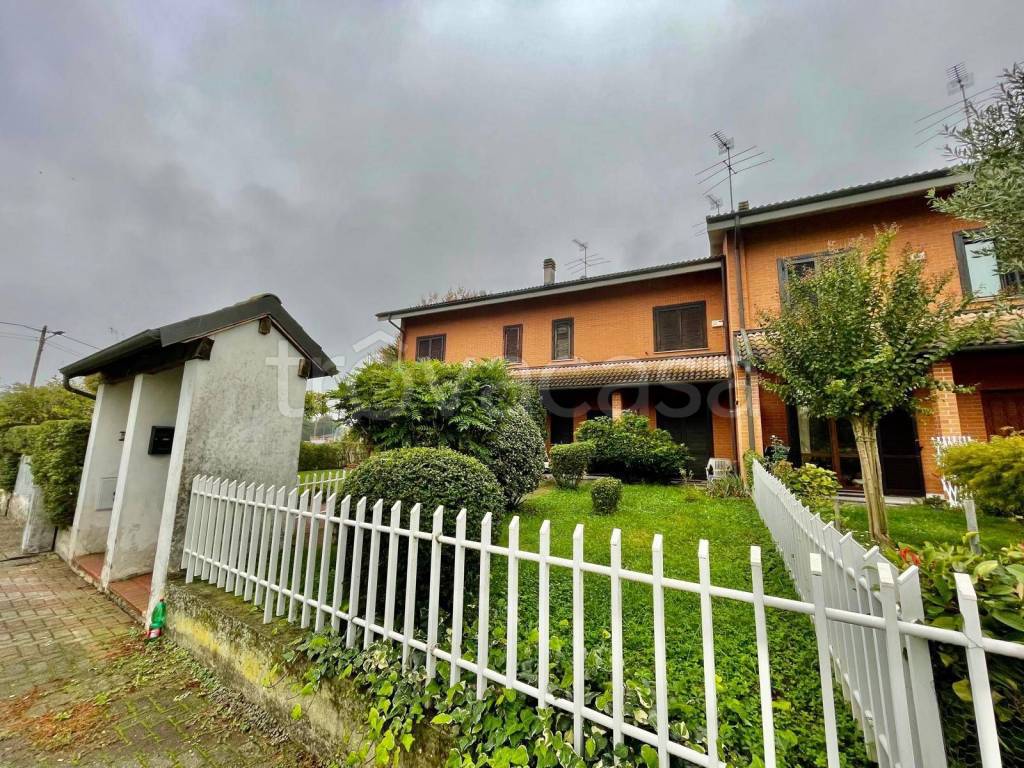 immagine annuncio 1 di 15