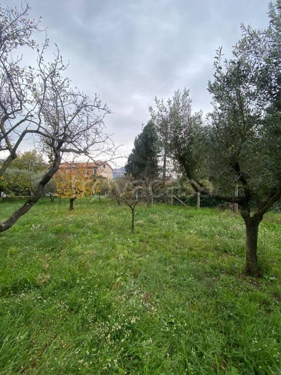 immagine annuncio 4 di 13