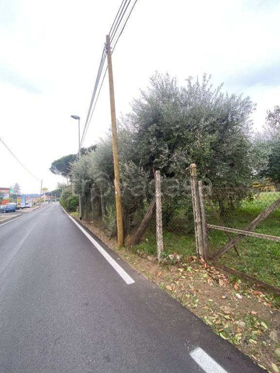 immagine annuncio 5 di 13