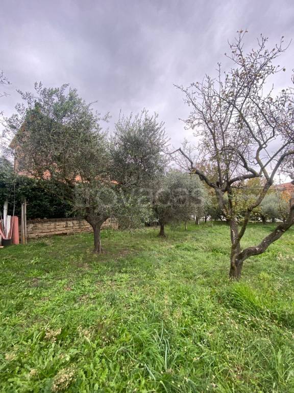 immagine annuncio 6 di 13