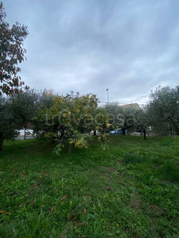 immagine annuncio 9 di 13