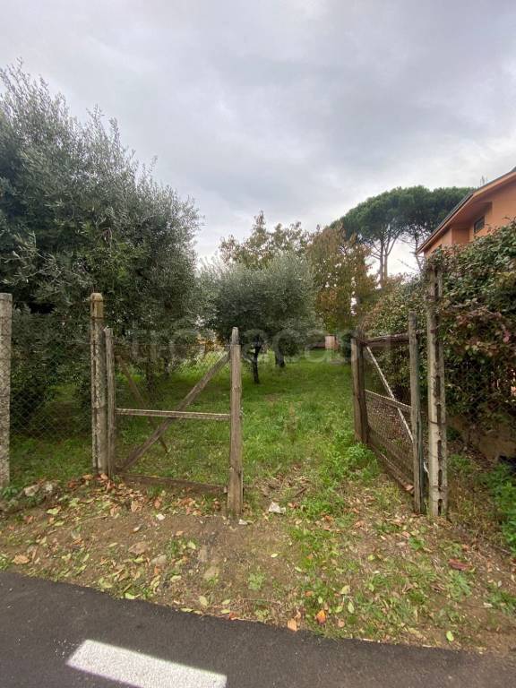 immagine annuncio 10 di 13