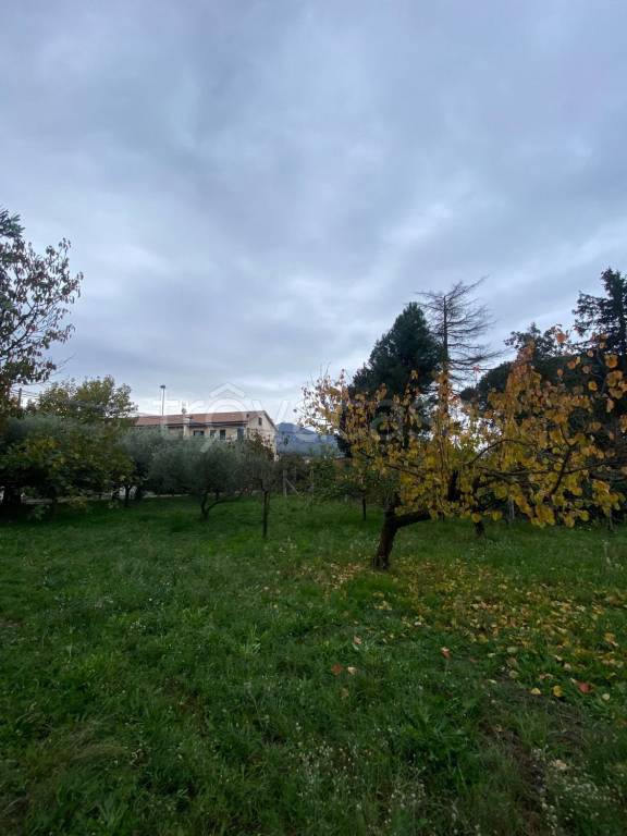 immagine annuncio 12 di 13