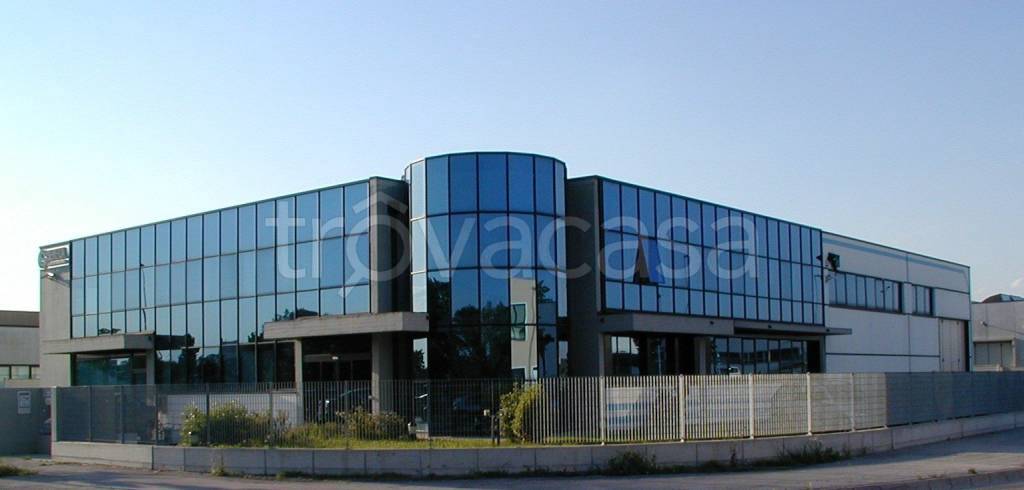 immagine annuncio 9 di 11