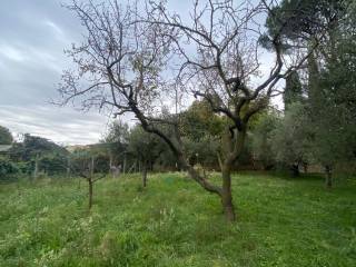 Terreno residenziale in vendita a grottaferrata via del pratone