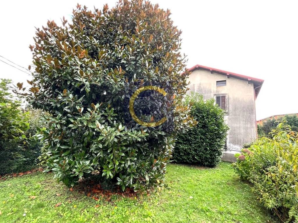 immagine annuncio 4 di 11