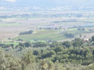 Terreno agricolo all'asta a montefalco località polzella