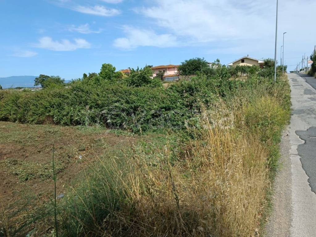 immagine annuncio 2 di 3