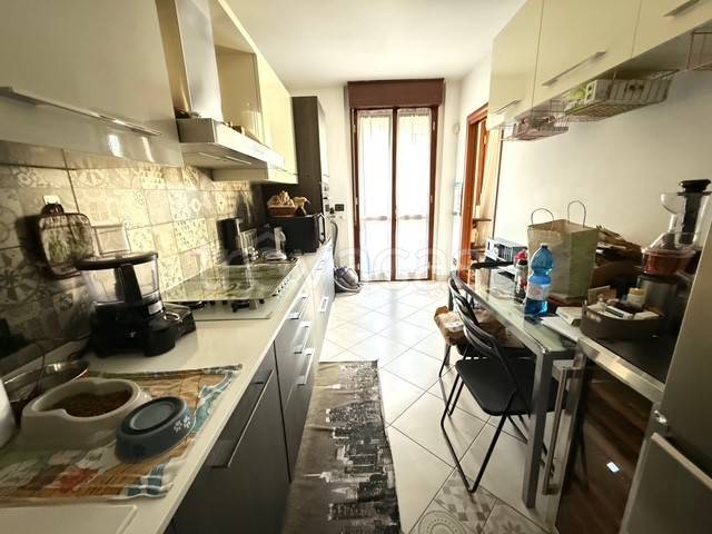 immagine annuncio 6 di 15