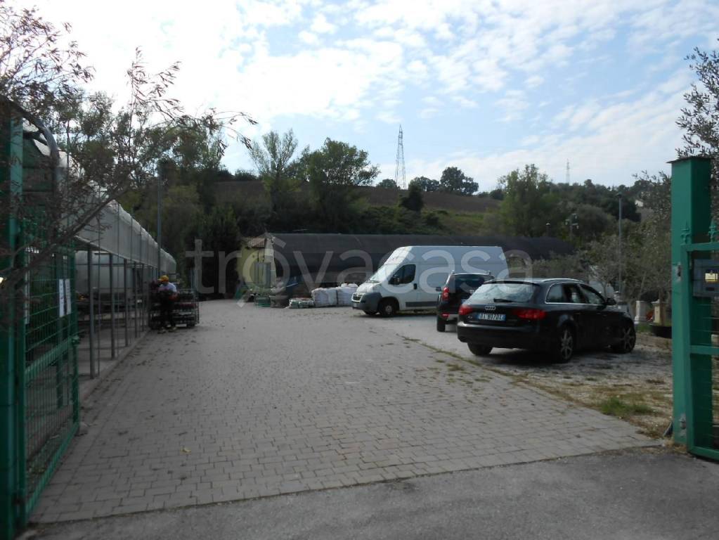 immagine annuncio 12 di 13