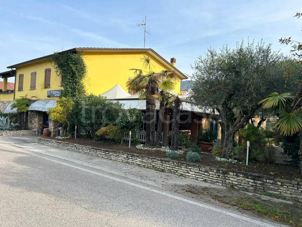 immagine annuncio 14 di 15
