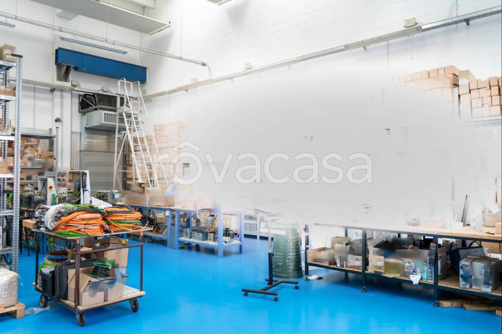 immagine annuncio 6 di 14