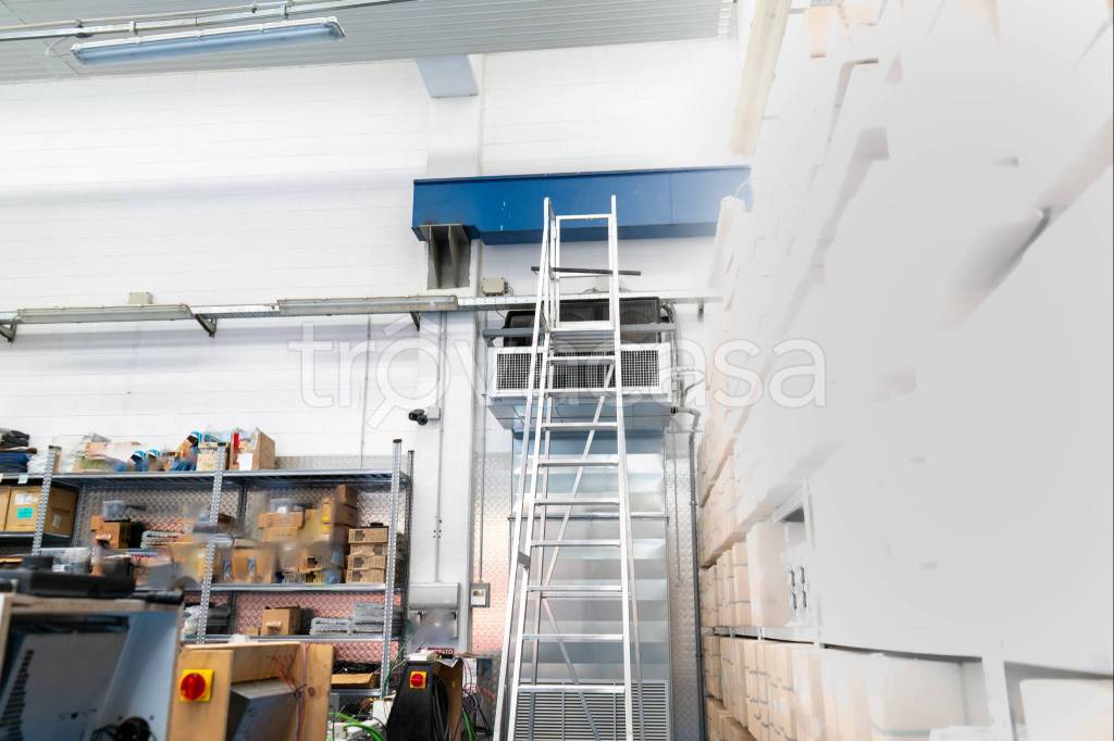 immagine annuncio 9 di 14