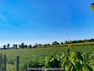 Terreno agricolo in vendita a ceggia via anarè, 1