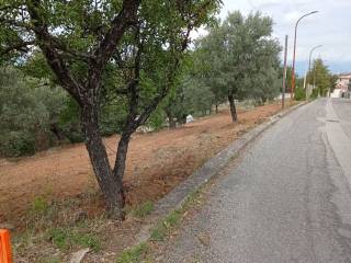 Terreno agricolo in vendita a santa sofia d'epiro via pedilati