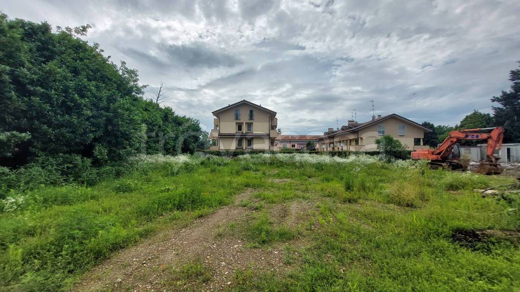 immagine annuncio 5 di 12