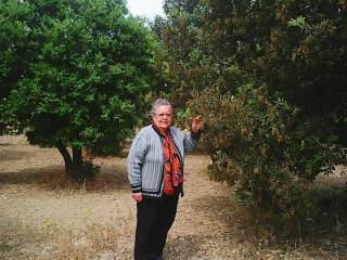 Terreno agricolo in vendita a decimoputzu strada comunale serra gureu