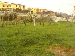 Terreno residenziale all'asta a montalto uffugo via piana san francesco