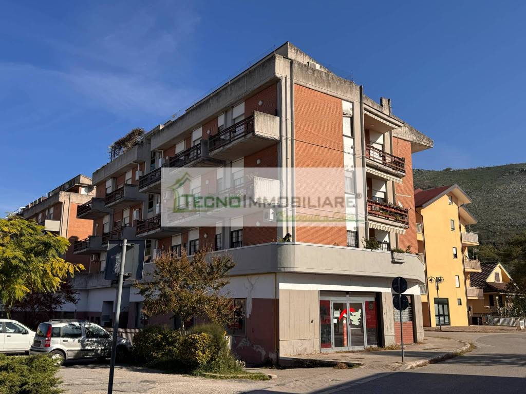 immagine annuncio 2 di 12