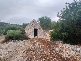 Terreno agricolo in vendita a fasano contrada giardinelli