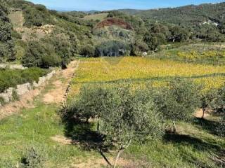 Terreno agricolo in vendita a luogosanto lu chissoni