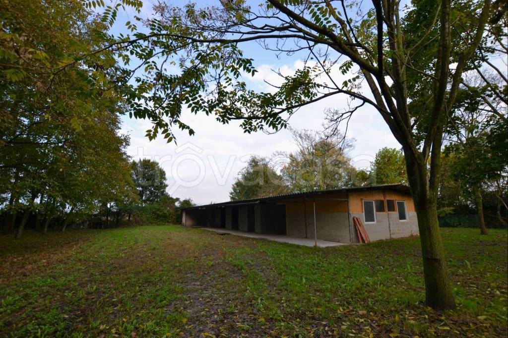 immagine annuncio 11 di 15