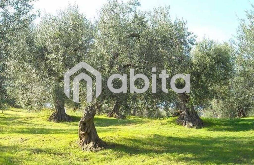 immagine annuncio 2 di 7